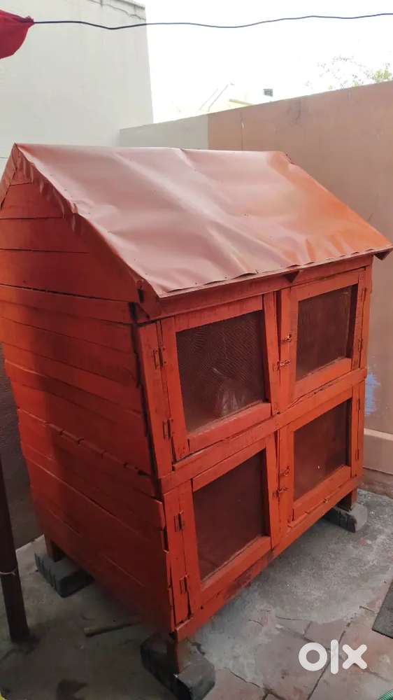 Poultry/ cage