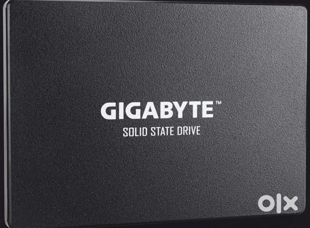 Gigabyte SSD 1TB SATA3 – Modello GP-GSTFS31100TNTD – Unità A Stato Solido Per PC