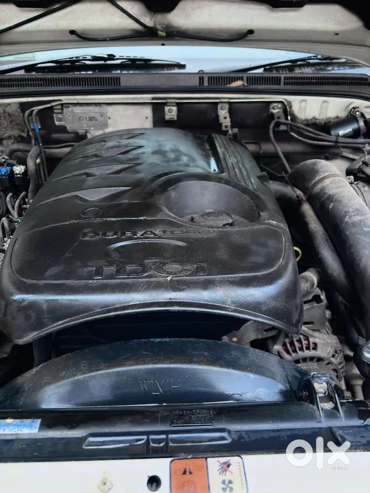 Handicap - Tn 37 - Fc 2030 -