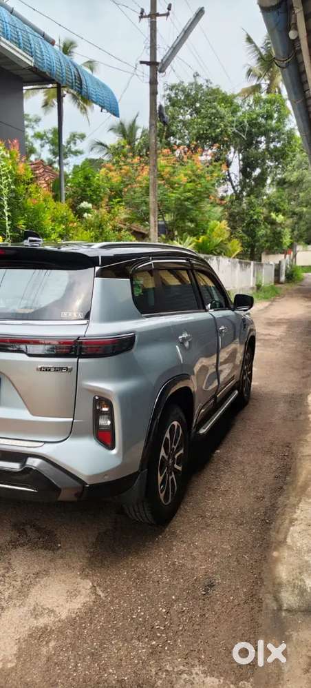 Grand Vitara Hybrid Alpha+