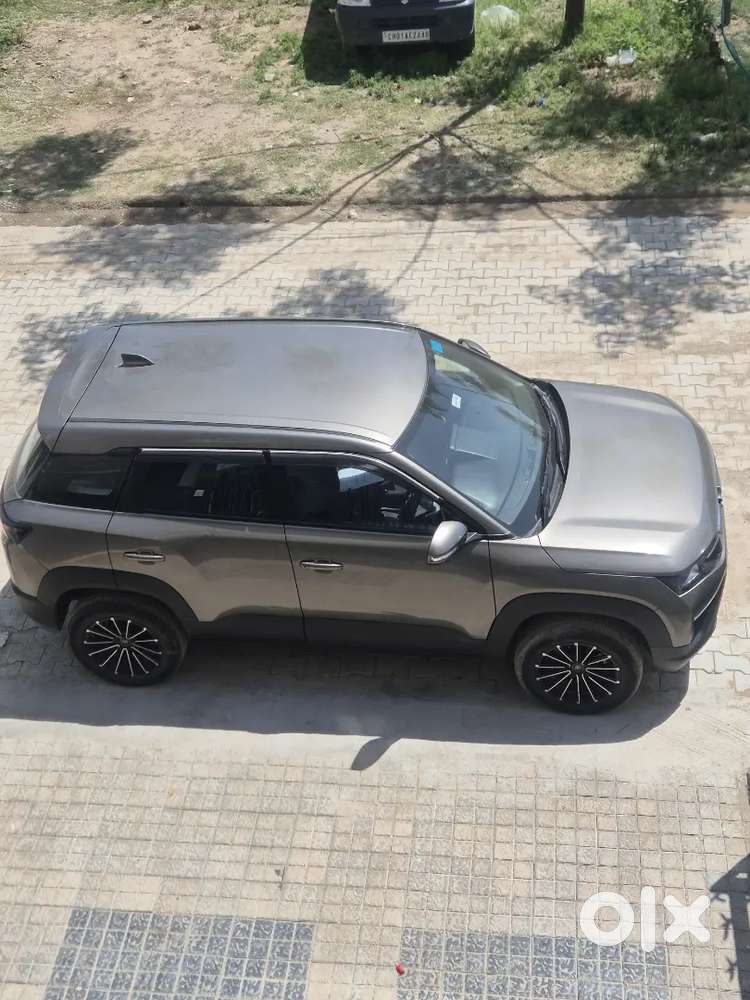 Maruti Suzuki Brezza 2023 Petrol 33800 Km Driven