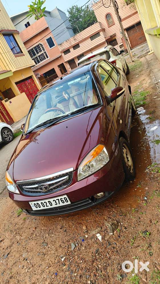 Indigo Ecs Colour Marun