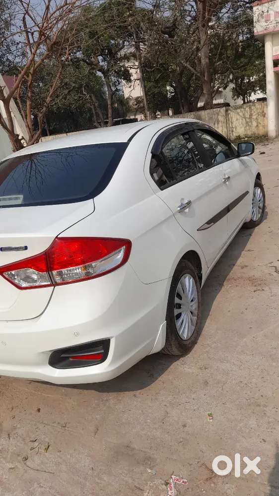 2023 Maruti Suzuki Ciaz 1st Owner