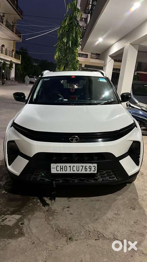 Tata Nexon 2024 Petrol Well Maintained