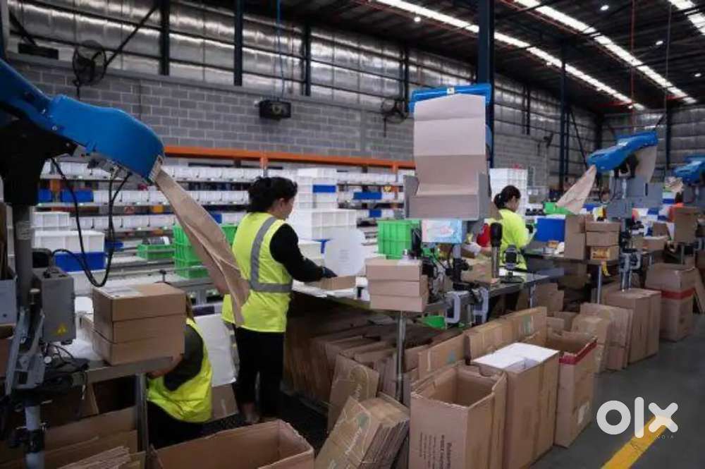 PACKING, HELPER, SCANNING, LOADING UNLOADING VACANCY AVAILABLE