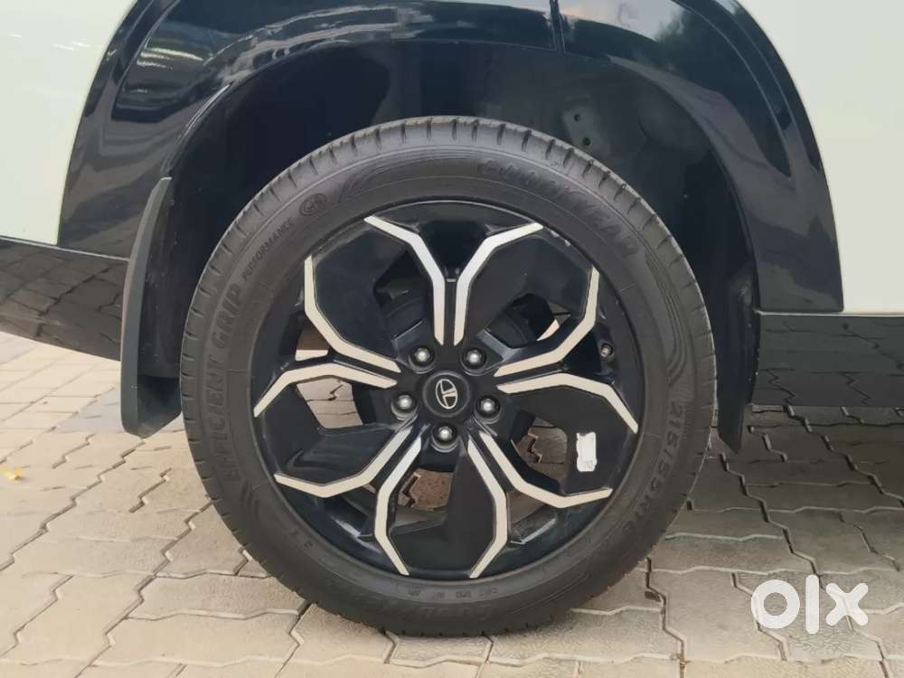 Tata Curvv, 2024, Petrol