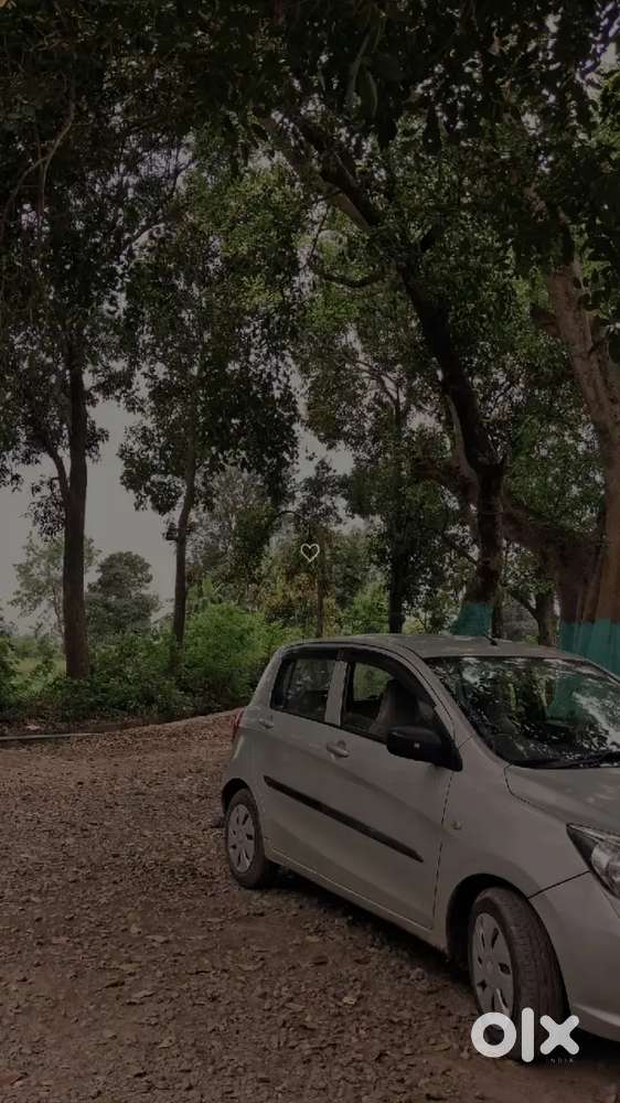 Urgent Sale Company Record Car H