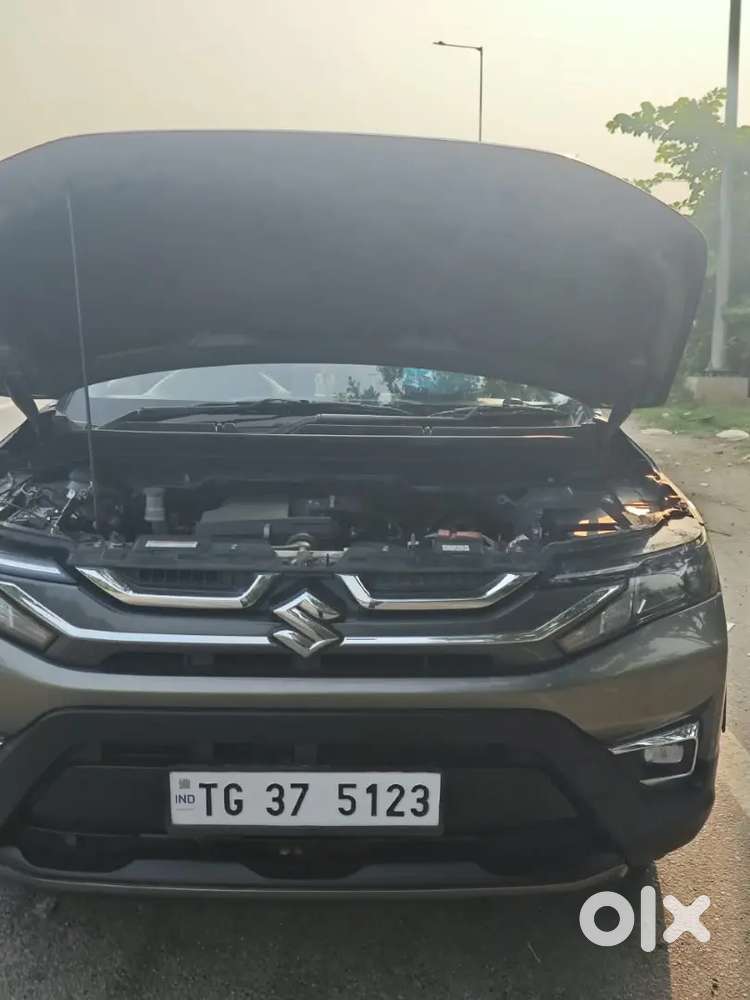 Maruti Suzuki Brezza Petrol Lxi 2025 March