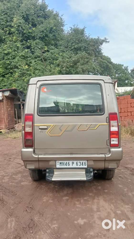 Sumo Gold Di