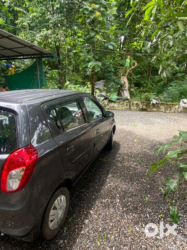 Alto 800 Lxi