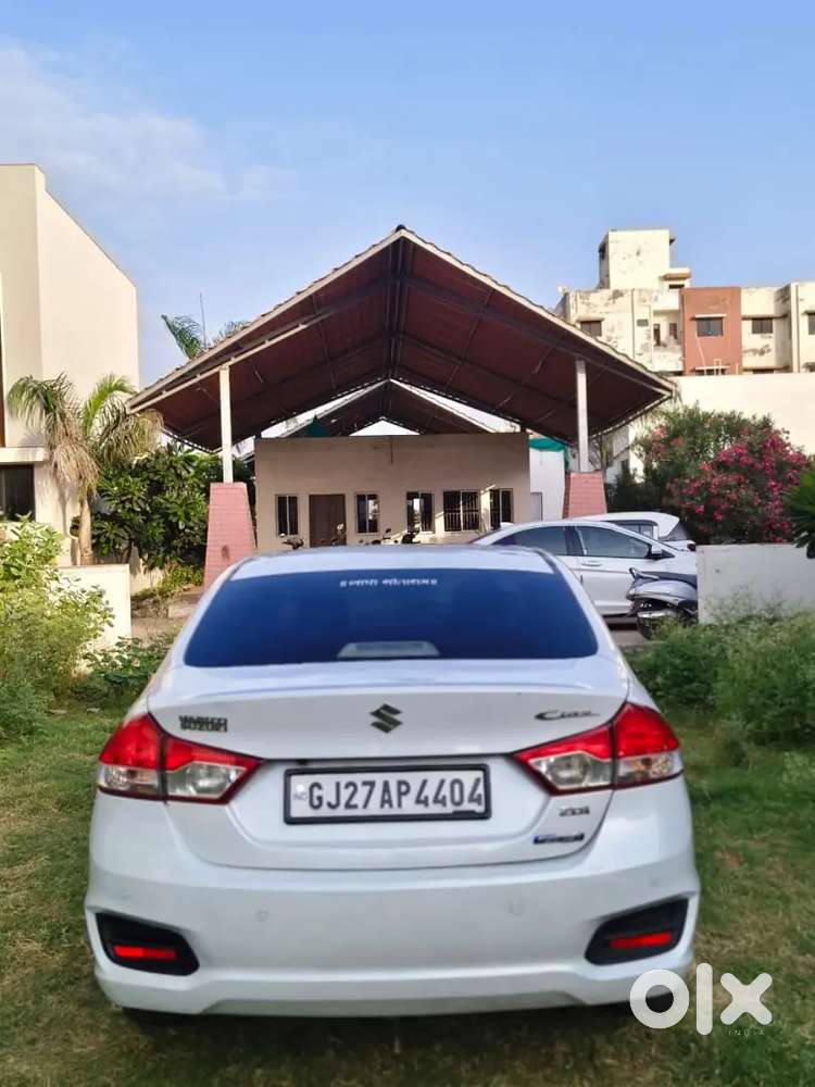 Maruti Ciaz Zdi Shvs Next To Showroom Condition