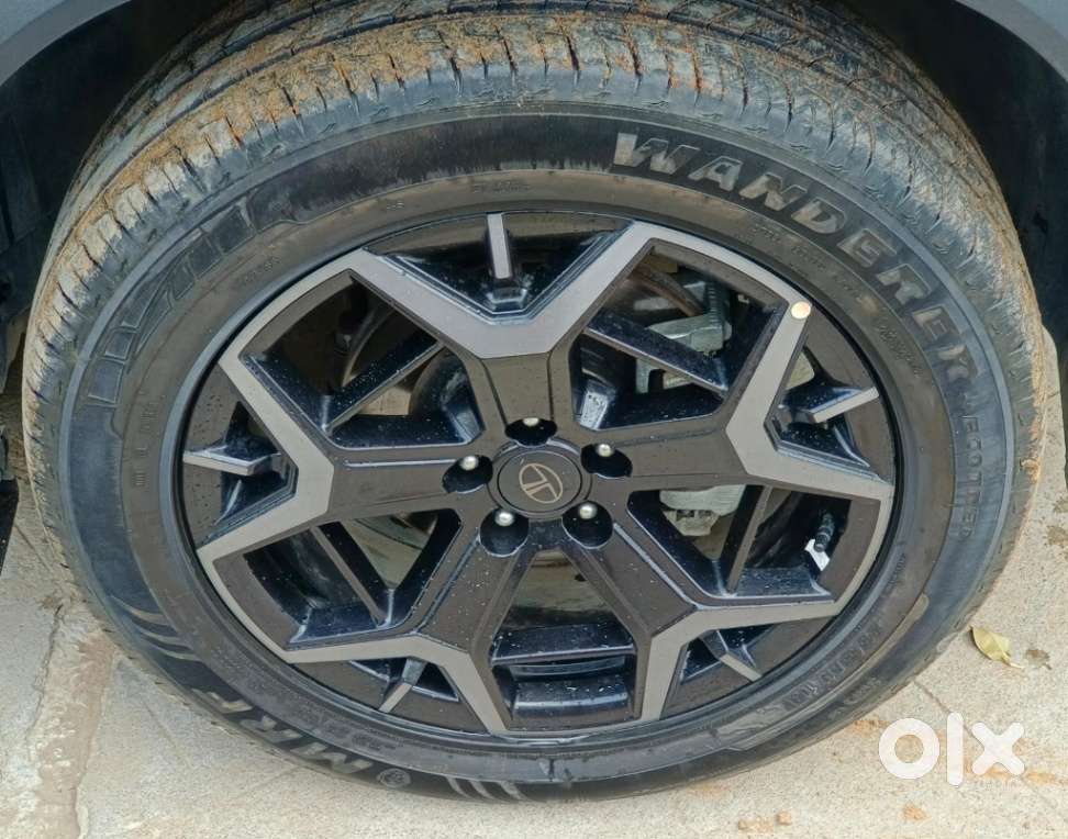 Tata Safari Accomplished X Plus 7 Str Stealth Edition At, 2025, Dies..