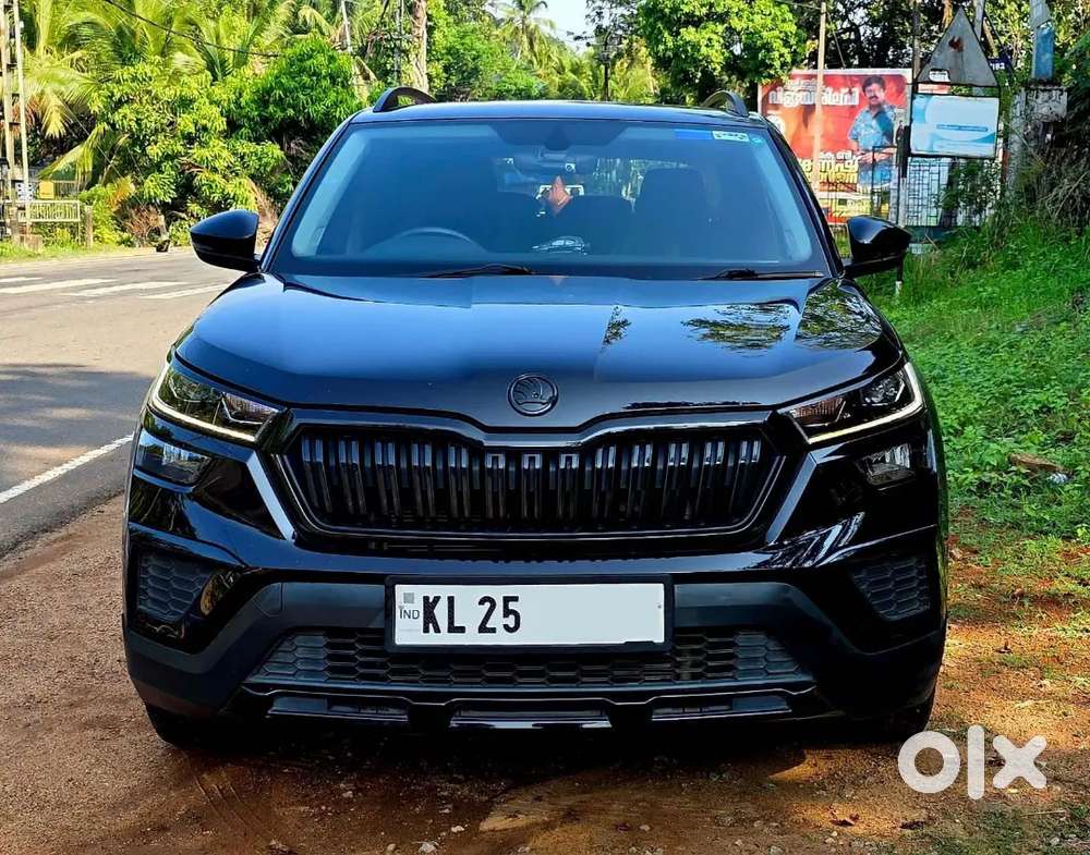 Skoda Kushaq 2025 Petrol Well Maintained