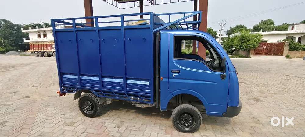 Tata Gold +  Diesel 2023