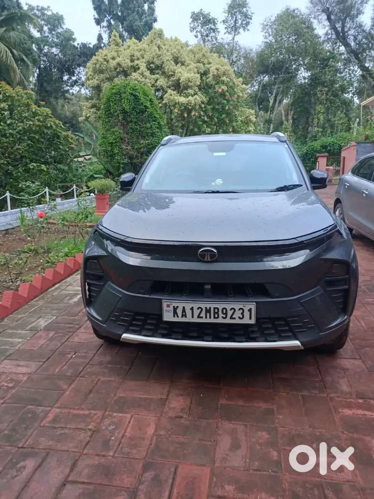 Tata Nexon 2024 Petrol Well Maintained