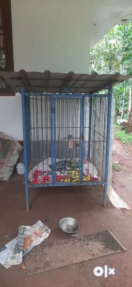 Cage Buy Sell Pet Food Accessories Online in Wayanad OLX