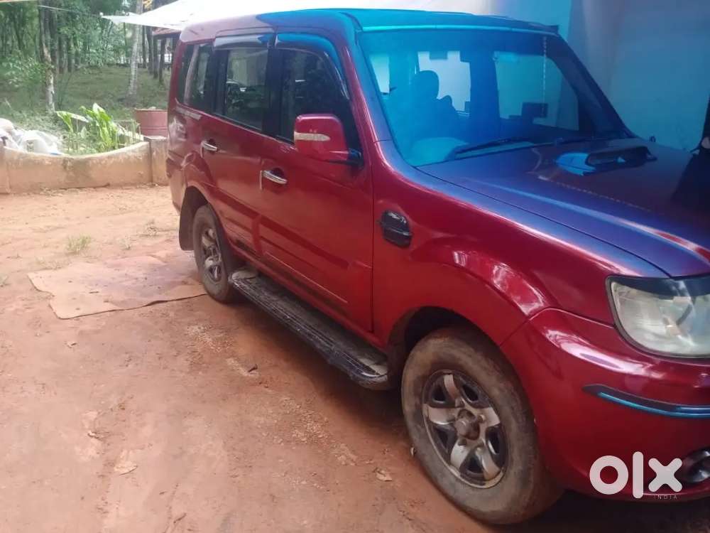 2010 Sumo Grande Gx