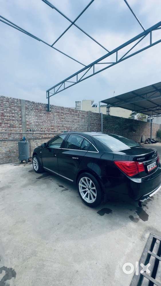 Z-black,alloys