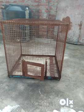 Dog store pinjra olx