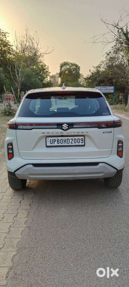 Maruti Suzuki Grand Vitara 1.5 Delta Smart Hybrid, 2024, Petrol