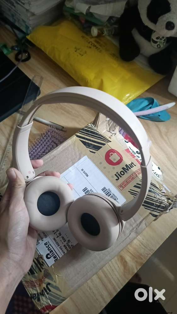 Sony WH-CH520 Headphone
