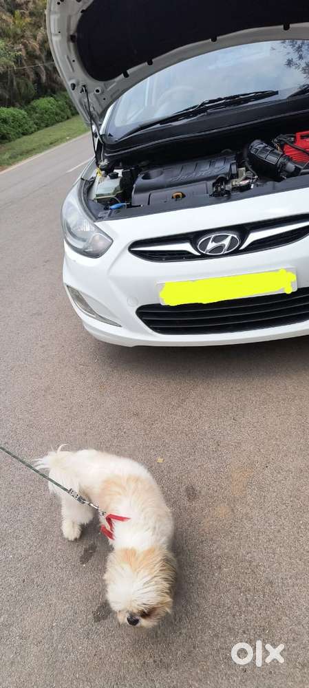 Hyundai Verna Transform 1.5 Crdi, 2013, Diesel