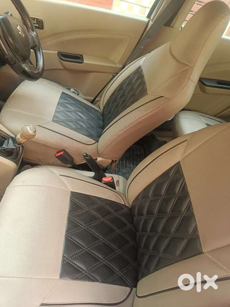 2016 Model Celerio Petrol + Cng
