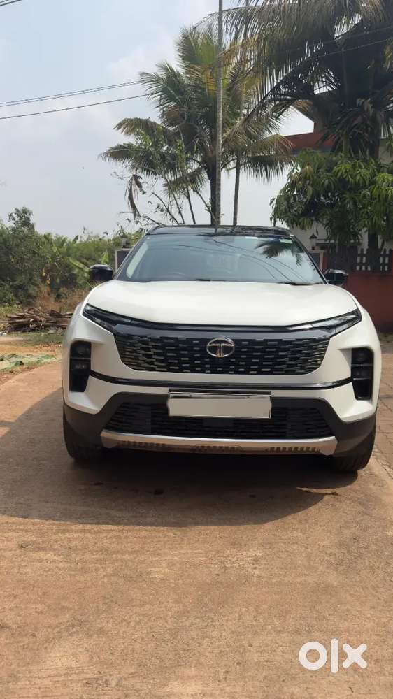 Immaculate Condition Safari