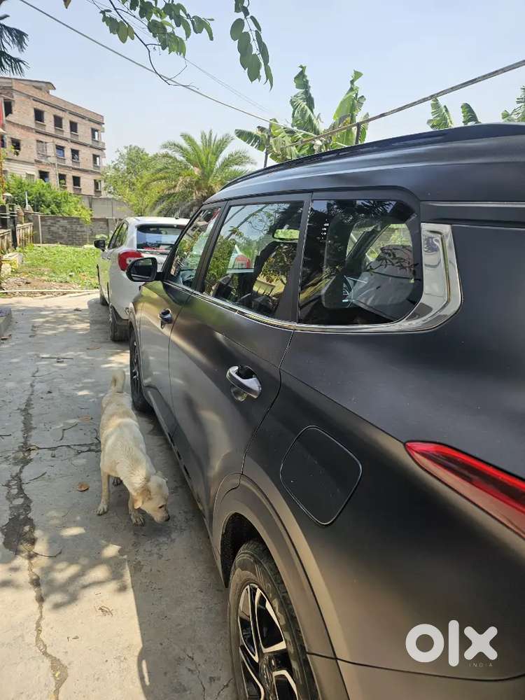 Kia Carens 2025 Petrol Well Maintained