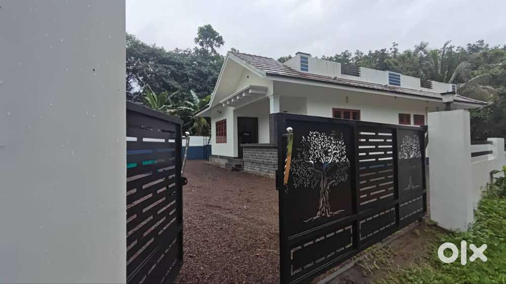 10.5 സെന്റിൽ 1450 Sq.Ft വീട് വിൽപ്പനയ്ക്ക് , റോഡിൽ