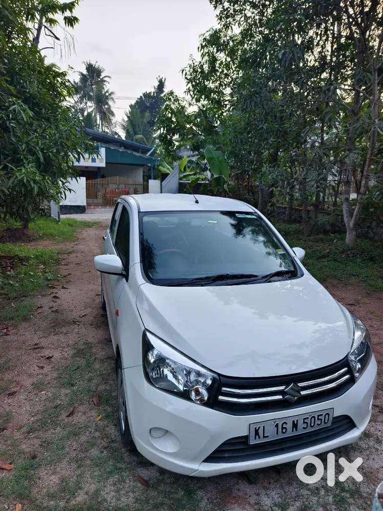 Any One Interested Msg Me