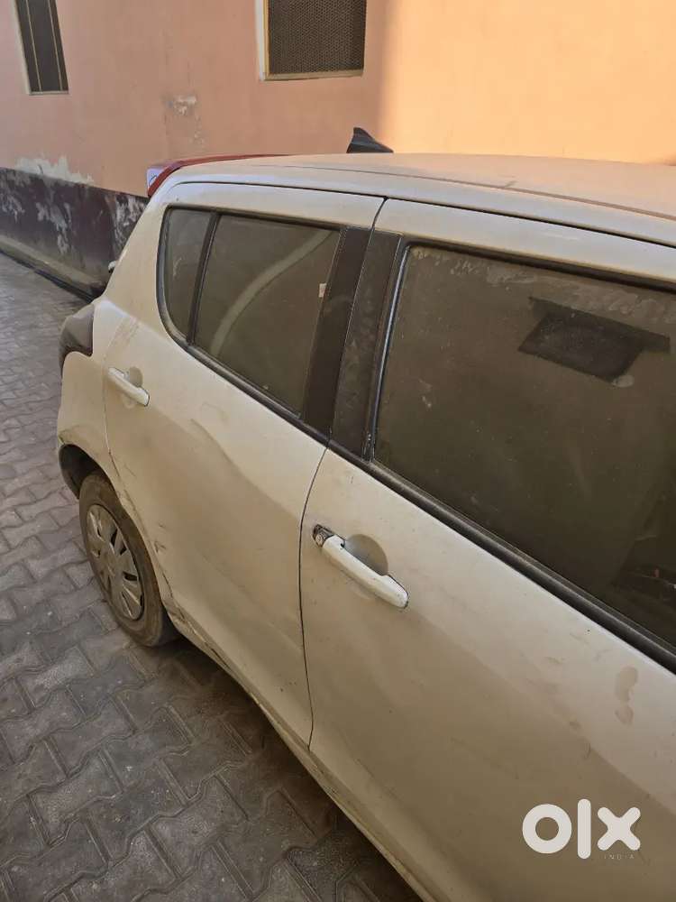 Urgent Sale Koi Kami Nhi H