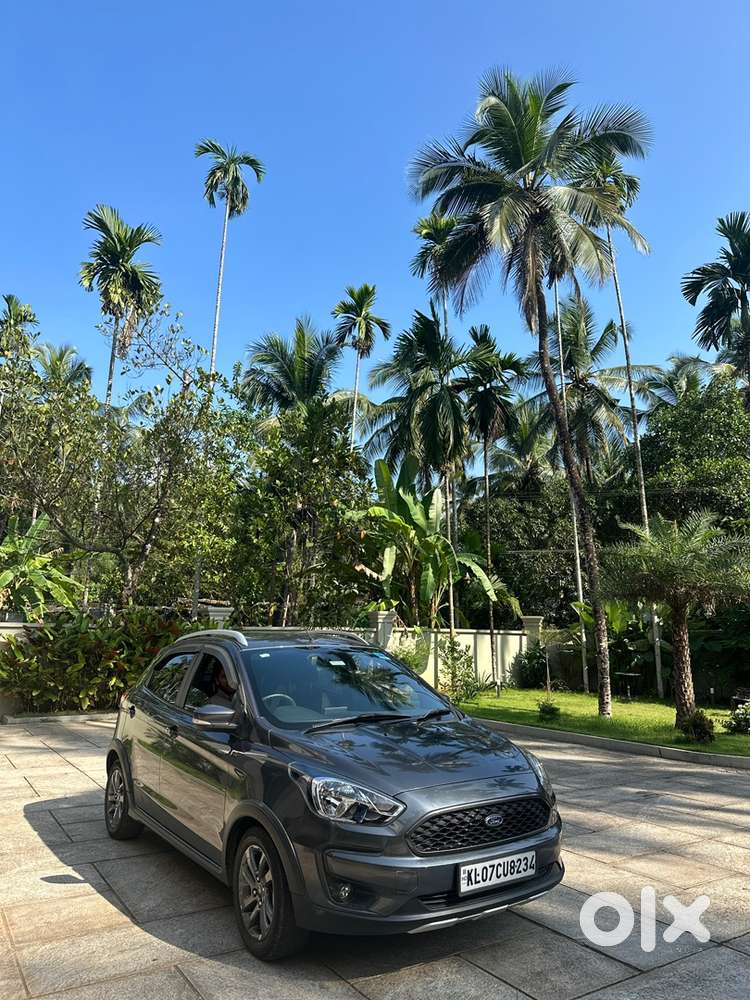 Ford Freestyle Petrol 55000 Km Driven