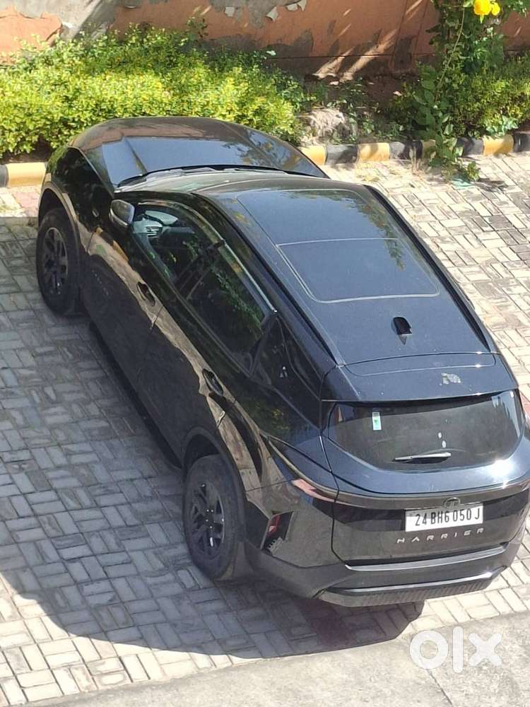 Tata Harrier Pure Plus 2024
