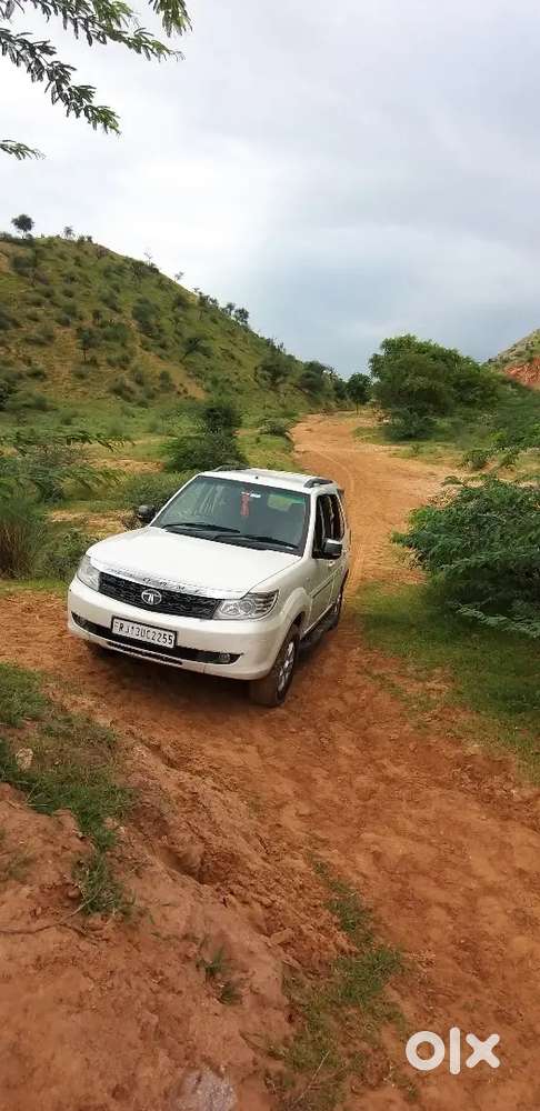 Safari Storm 4*2 Diesal, Best Condition.