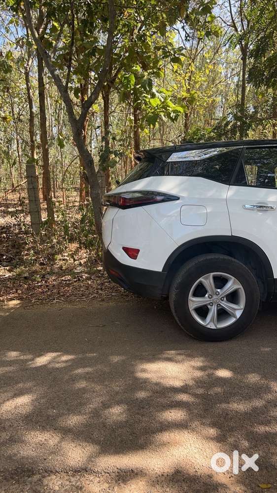 Harrier Xt  (dt )