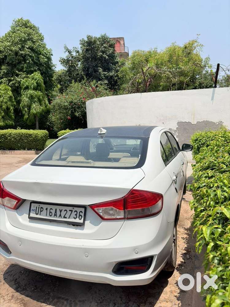 Maruti Suzuki Ciaz