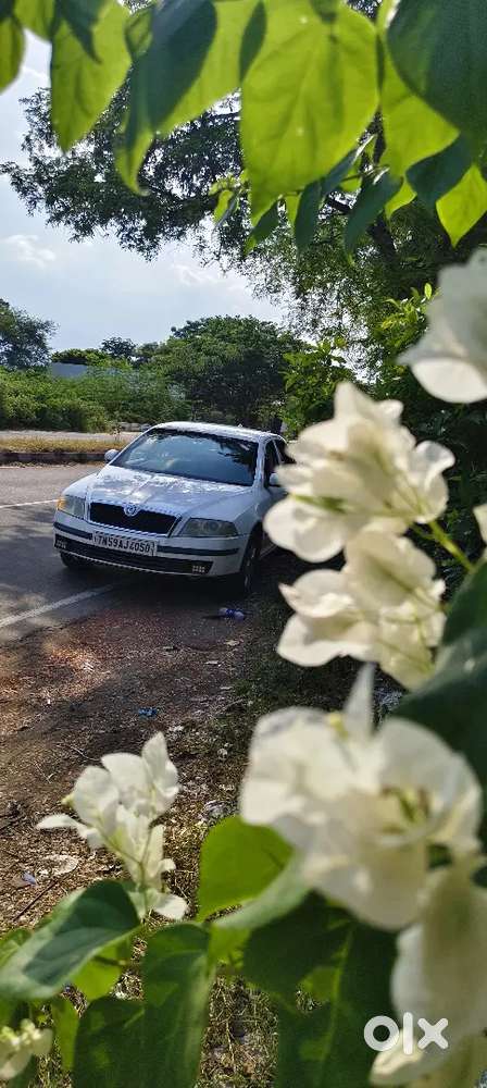 Skoda Laura 2009 Diesel Good Condition