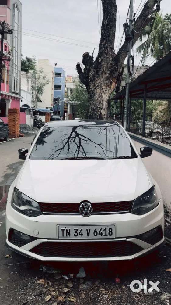 Polo Highline