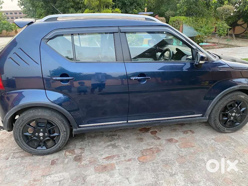 Maruti Suzuki Ignis 2024 Petrol 16986 Km Driven