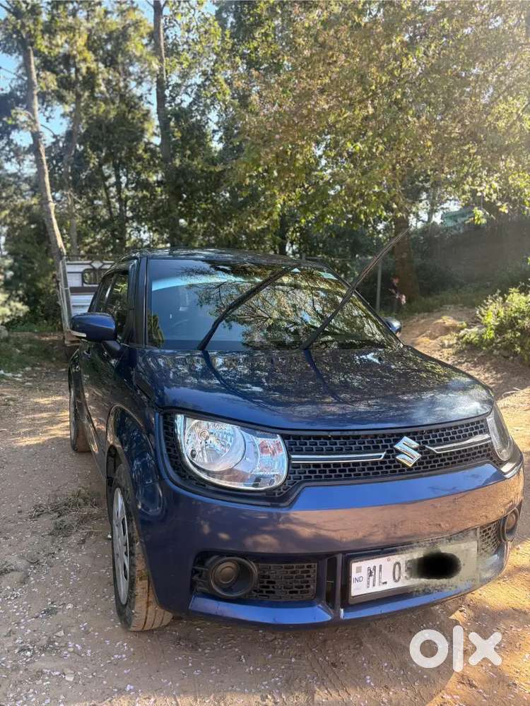 Maruti Suzuki Ignis 2019 Delta Mt