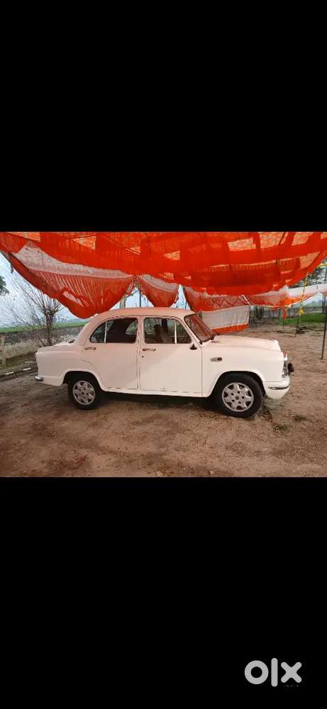 Ambassador Ambassador 2011