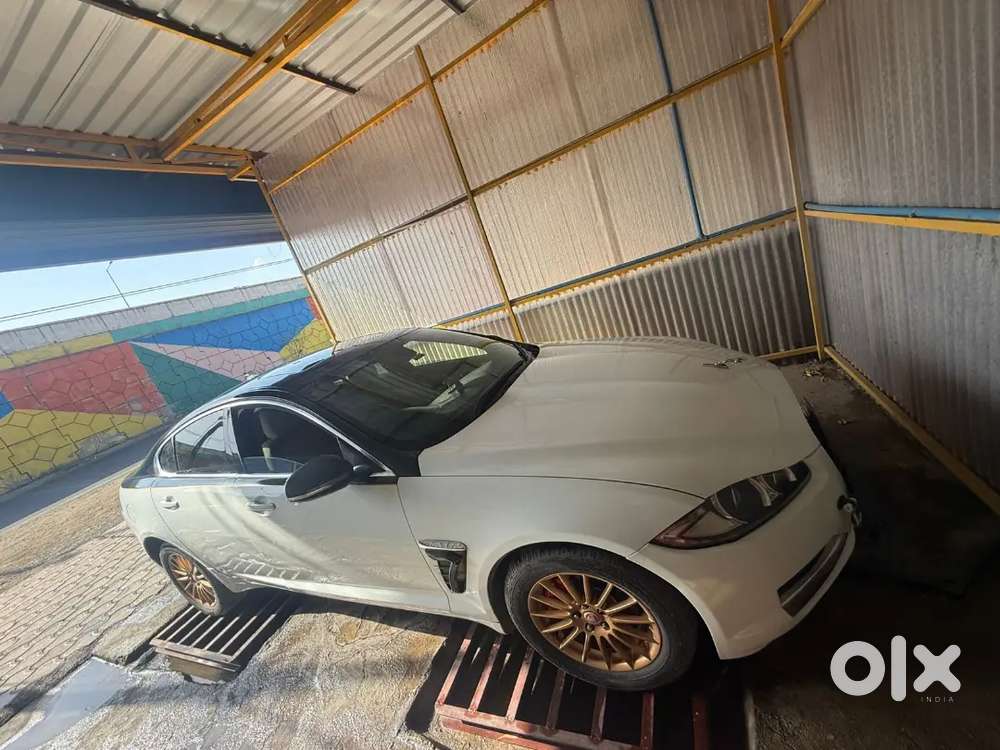 Jaguar 2014