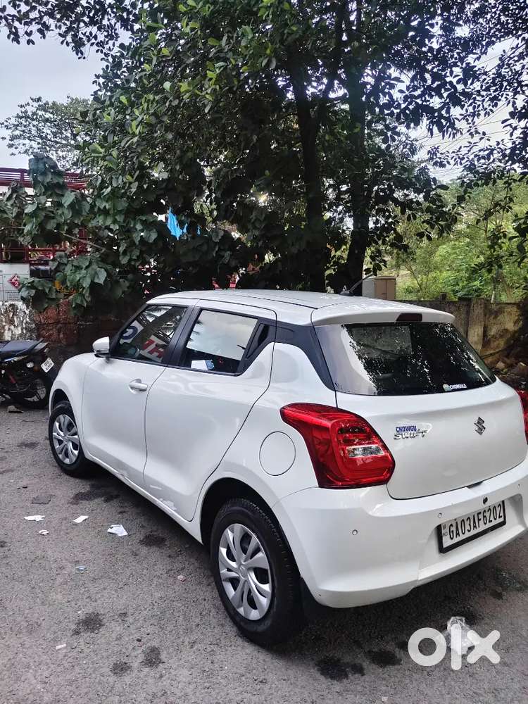Swift 2024 (2 Year Old)