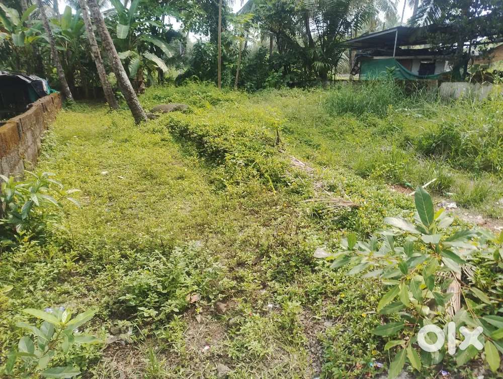 Land for sale 400 meter from nh