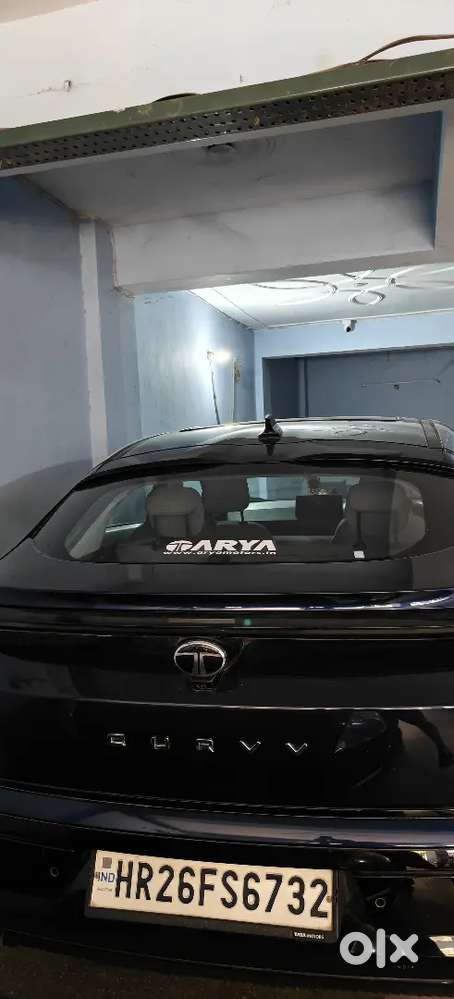 Tata Curvv 2025 Petrol Well Maintained