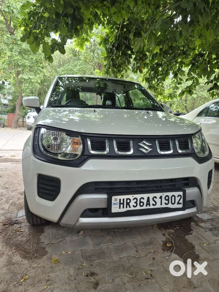 Maruti Suzuki Ignis Sigma 2024 Car