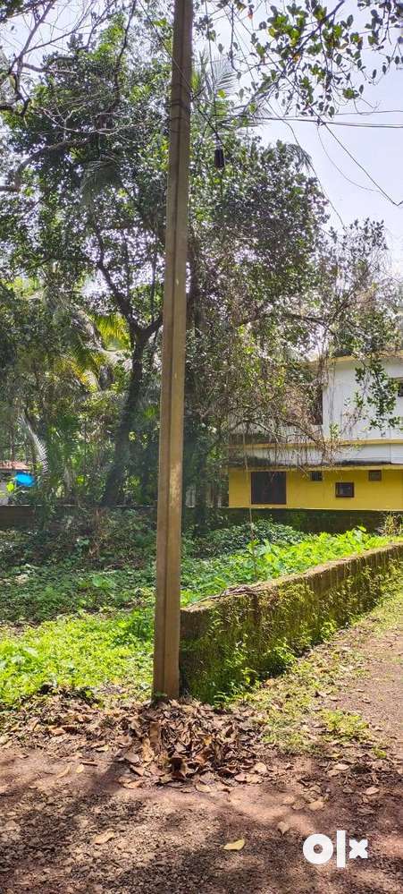 10-cent-residential-land-for-sale-at-aaramkotta-kannur-ml-lands