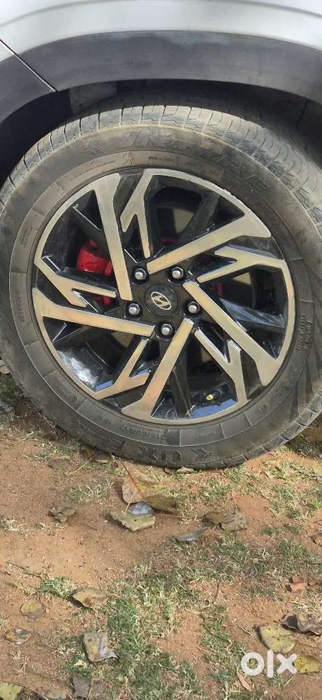 Top Model Allow Wheels