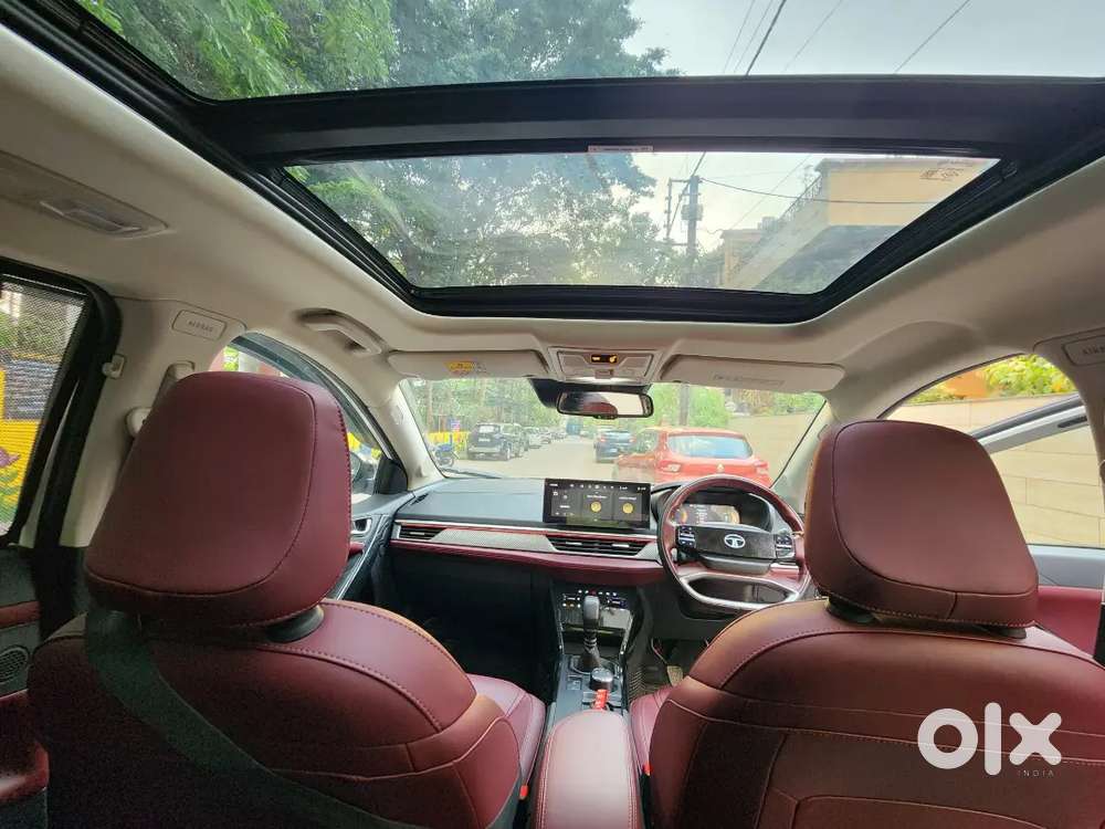 Tata Curvv Diesel 2024 First Owner